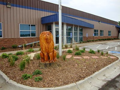 Wilson Focus Elementary - Visual