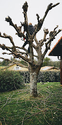 Photo n°3 de ALEXANDRE SANCHEZ à Gamarde-les-Bains (Jardinier)