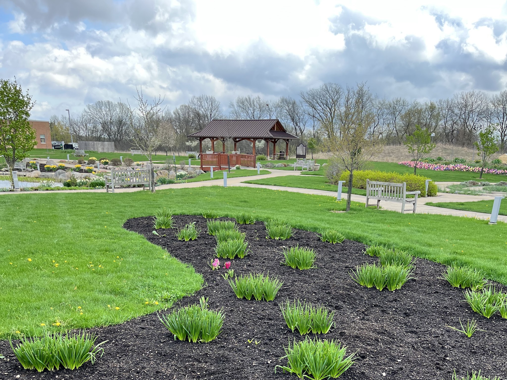 Neal Sprinkler Solutions