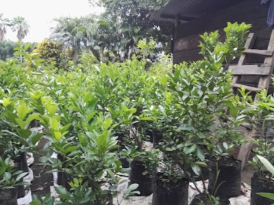Photos of VIVERO Los Pinabetes