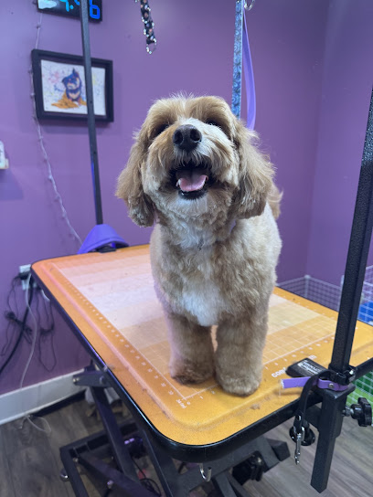 Spirit Animals Pet Salon & Reiki Studio : Brick NJ