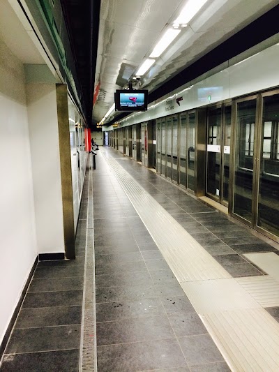 Photos of Finocchio