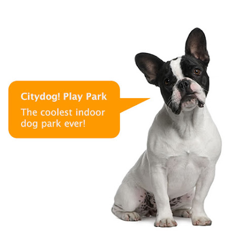 Citydog! Club by null