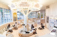 猫カフェMOCHA（モカ）イオンモール羽生店