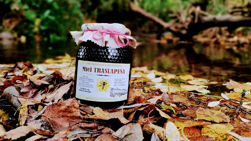 Miel Traslapeña - Visual