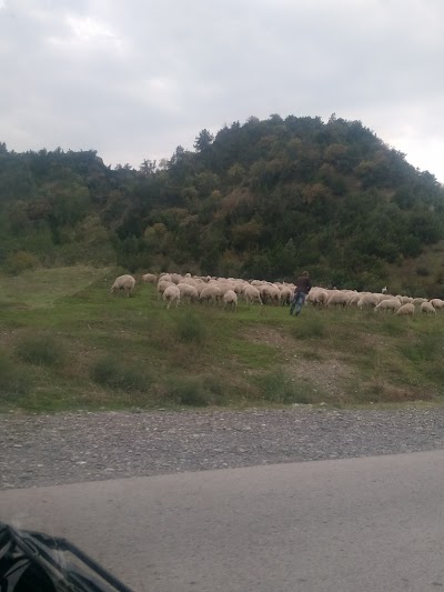 Photos of Lukoil