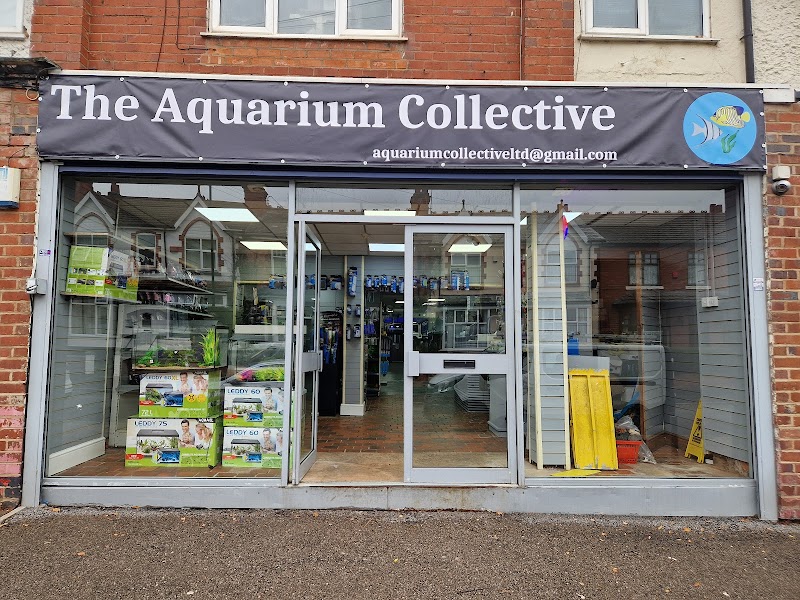 The Aquarium Collective photo 3