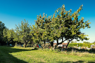Photo n°36 de Le Gite de Saint-Phal à Saint-Phal (Gîte)