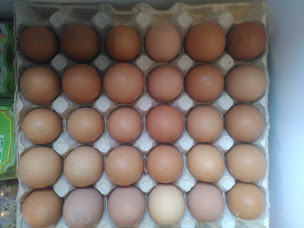 Photo n°12 de Epicerie Cyrano à Ambialet (Snack)