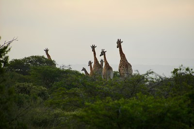 Photos of Woodbury Tented Camp