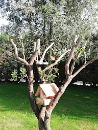 Photo n°6 de Chambre d'hôtes - studio - Le 26 à Ruffec (Hôtel)