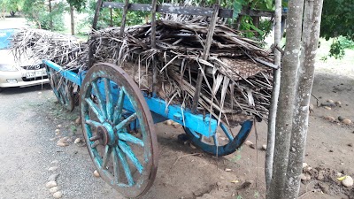 Photos of Gangadhara Camping / Eco Lodges