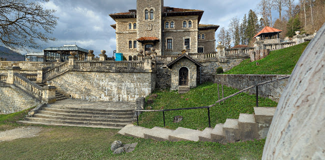 http://www.cantacuzinocastle.ro/