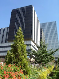 Photo n°7 de Pr Patrick BOYER - Hôpital Bichat à Paris (Chirurgien orthopédiste)