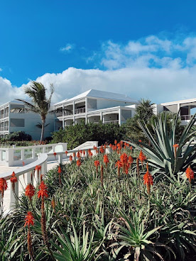 The Loren at Pink Beach by null