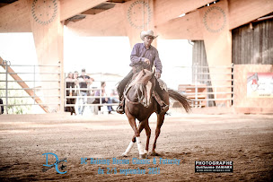 Photo n°9 de Les écuries du Domaine de Chaboud à Cellieu (Éleveur)