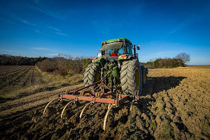 Photo n°26 de Domaine Uma à Valflaunès (Vignoble)