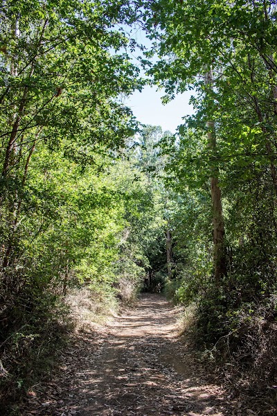 Photos of Salto de agua