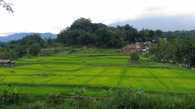 Photos of Hotel Matana 2