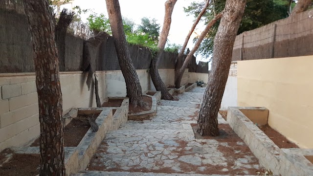 Cala Viñas
