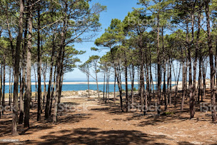 Photo n°6 de Sport Bassin Coach à Audenge (Coach particulier)