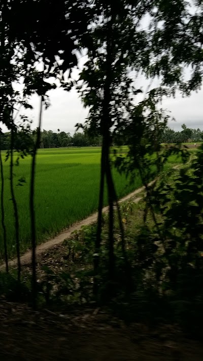 Photos of Zonail Bazar