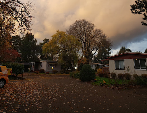 Sunset Village - Visual