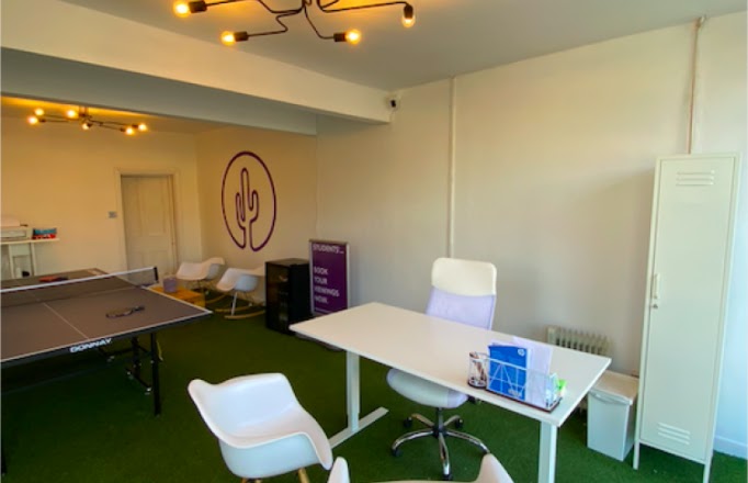 Purple Cactus Properties photo 2