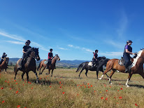 L'Ecurie Bleue à Chabanière