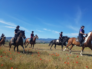 Photo n°1 de L'Ecurie Bleue à Chabanière (Écurie)