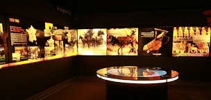 Photo n°29 de Pôle du Cheval et de l'Âne | Village de Cottages à La Celle-Condé (Parc à thème)