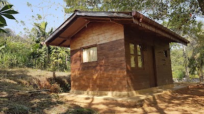 Photos of Rainforest View Villas