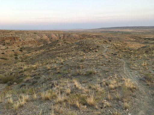 Area-X Trailhead