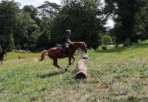 Photo n°2 de Erimûr'Anes à Mûrs-Erigné (Centre équestre)