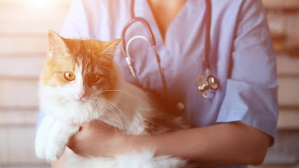 clinica veterinaria fuentebravia — Veterinarios en El Puerto de Santa María