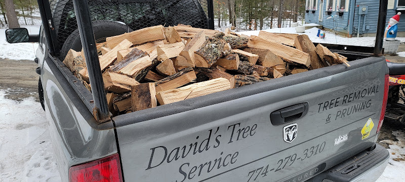 DAVIDS TREE SERVICE & FIREWOOD LLC