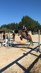 Photo n°9 de Les Ecuries du Mas Di Gau à Le Val (Pension pour chevaux)