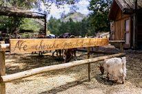 La colline des Lutins à Le Vernet