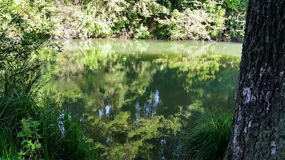 Tyee Campground