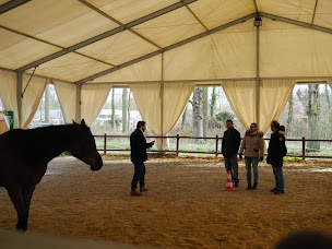 Photo n°1 de Oopoo-équicoaching à Combressol (Coaching professionnel)