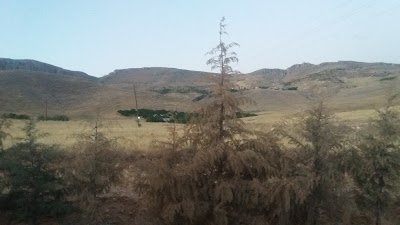 Photos of T&uuml;vt&uuml;rk-malatya Şubesi