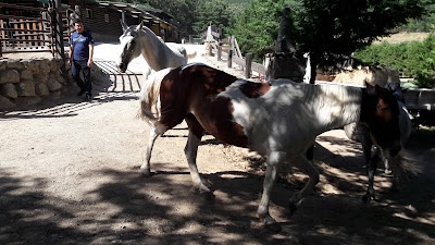 Photos of Centro H&iacute;pico Los Ciruelos