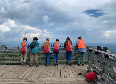 Blue Ridge Therapeutic Wilderness | Wilderness Therapy Programs