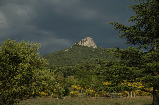Parque Pamplona - Bengoda parkea