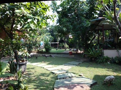 Photos of Java Koi