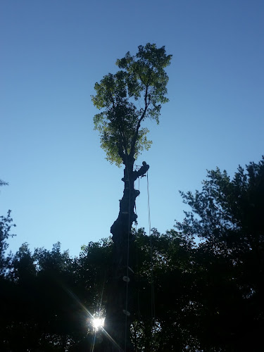 Fellers Tree Removal, LLC