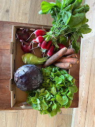 Photo n°17 de Ô Local Gourmet à Berck (Restauration rapide)