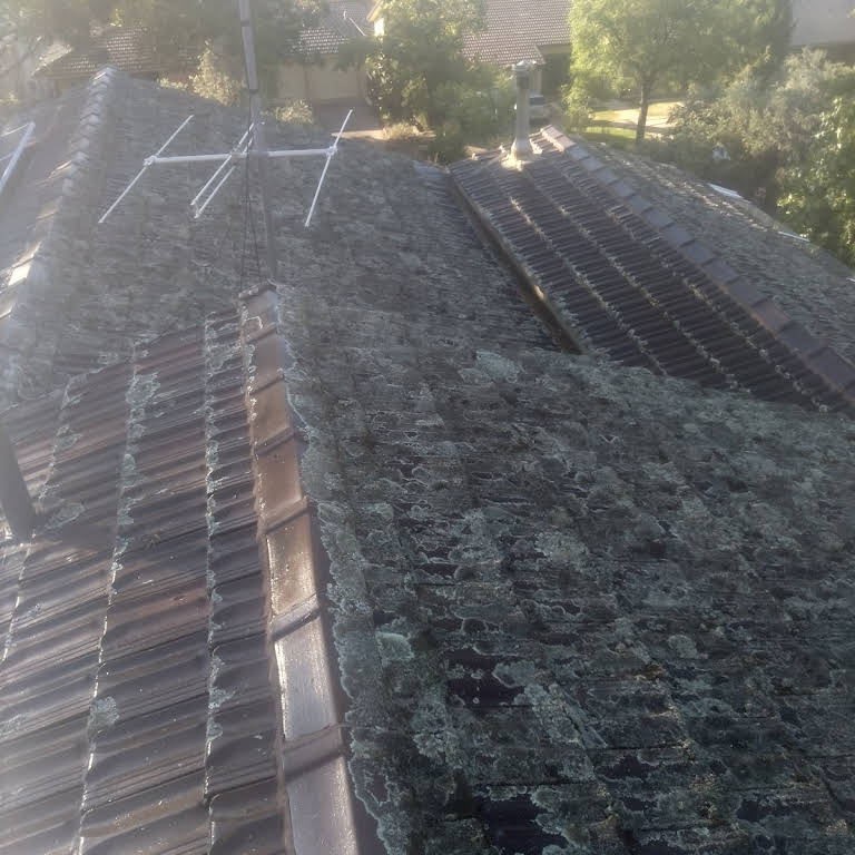 WAGGA ROOF REPAIRS Roofing Contractor