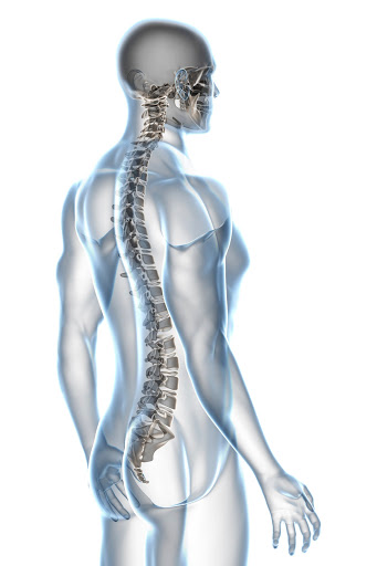 Chapin Chiropractic