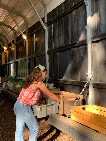 Serenbe Farms by null